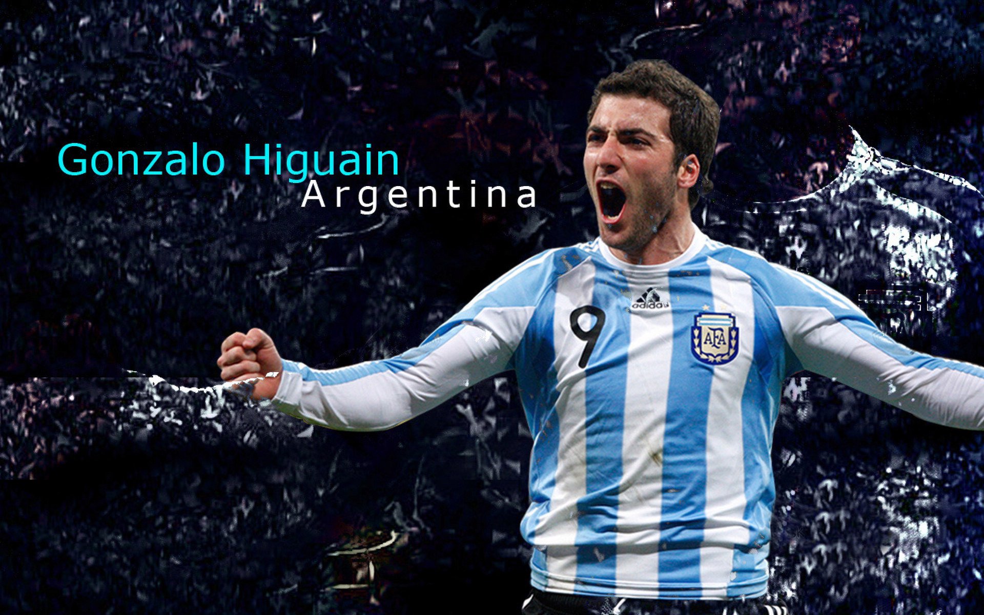 上海海港新援表现获得认可,上海海港成员