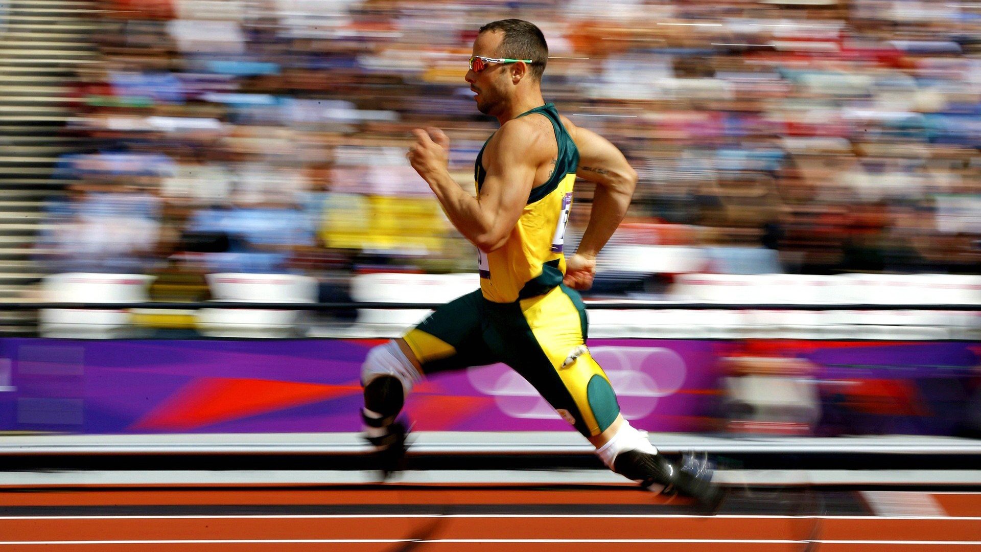 室内跳伞挑战赛：挑战引力的极限，室内跳伞设备多少钱